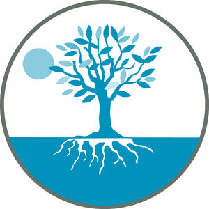 De boom als leidraad voor ontwikkeling De boom als leidraad voor ontwikkeling