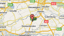 googleMaps